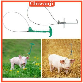 [Chiwanji] เสาจับหมู ทนทาน สําหรับสัตว์เลี้ยง สุนัข