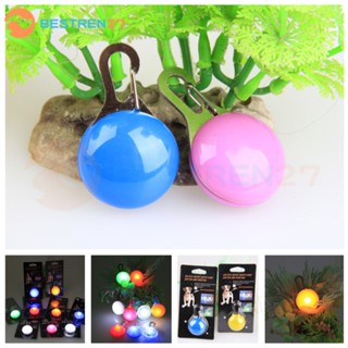 พร้อมส่ง จี้ป้ายแท็กเรืองแสง Led สําหรับสัตว์เลี้ยง สุนัข