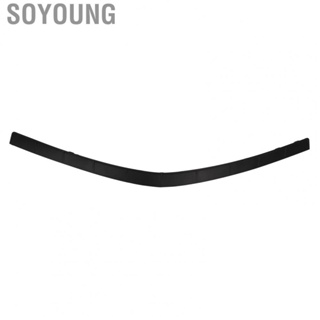 Soyoung Bumper Guard Protection Rear Strip Cushion for SRX