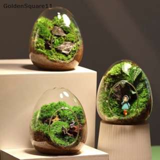 Goldensquare แจกันแก้ว รูปไข่ สร้างสรรค์ สําหรับตกแต่งบ้าน สวนขวด