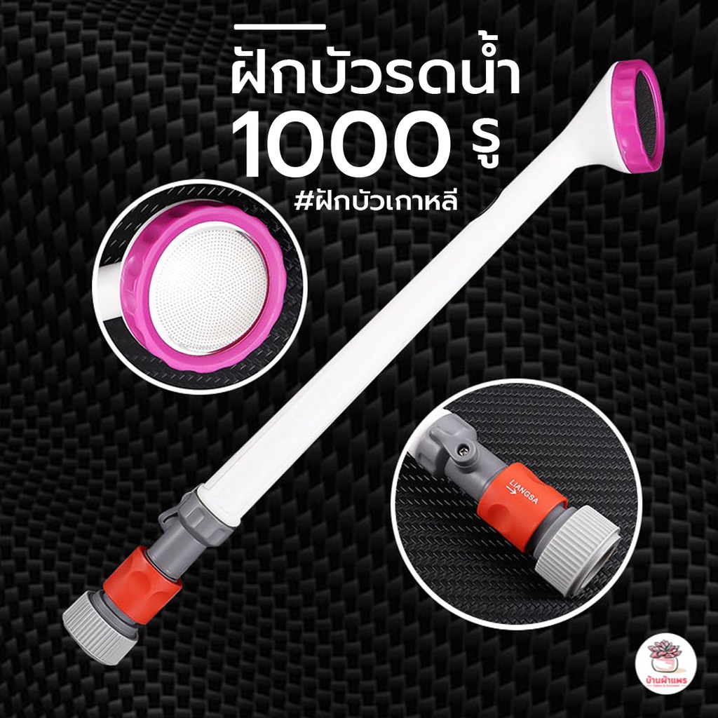 ฝักบัวรดน้ำ 1000 รู ฝักบัวเกาหลี ฝักบัวน้ำฝอย แคคตัส กระบองเพชร ไม้อวบน้ำ cactus&succulent
