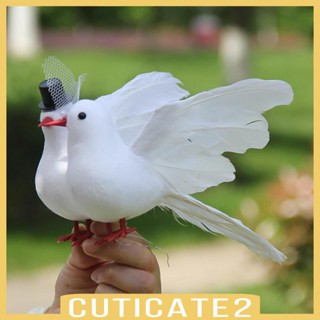 [Cuticate2] โมเดลนกพิราบจําลอง เหมือนจริง สําหรับตกแต่งบ้าน งานฝีมือ DIY