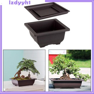 [JoyDIY] หม้อฝึกบอนไซ พร้อมถาดระบายน้ํา
