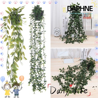 Daphne เถายูคาลิปตัสประดิษฐ์ สําหรับแขวนตกแต่งผนังบ้าน