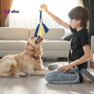 Alina ของเล่นสุนัข แบบโต้ตอบ ด้ามจับกันลื่น พร้อมจี้เปลี่ยนได้ ทนทาน จับสบาย สําหรับสัตว์เลี้ยง สุนัข