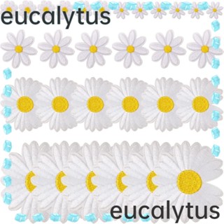 Eucalytus1 แผ่นรีดติดเสื้อยืด ลายดอกเดซี่ สีขาว