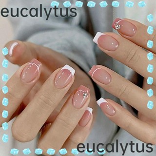 Eucalytus1 เล็บปลอม แบบกด DIY สไตล์ฝรั่งเศส