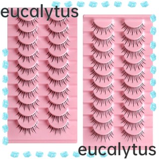 Eucalytus1 ขนตาปลอมไฟเบอร์ ปีศาจน้อย สําหรับต่อขนตา