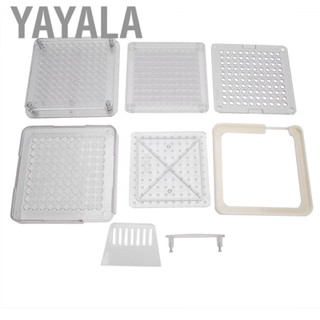 Yayala 0  100 Holes   Filler  Acrylic Transparent Manual Filling Tool