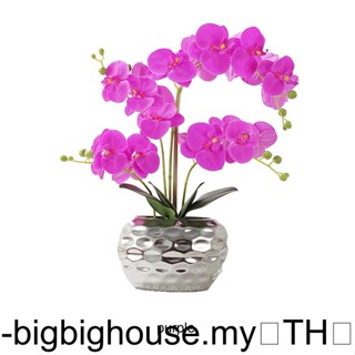 ดอกกล้วยไม้ปลอม เหมือนจริง บํารุงรักษาต่ํา สีขาว