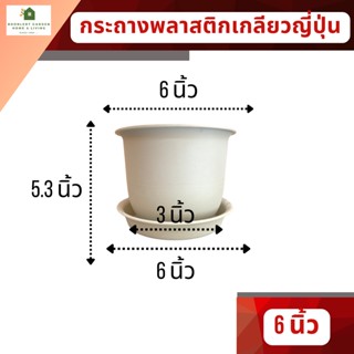 กระถางทรงเกลียวญี่ปุ่น / ทรงญาญ่า ขนาด 6 นิ้ว กระถางพลาสติก ฟรีถาดรองกระถาง (เกรด A แบบหนา)