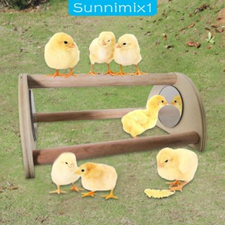 [Sunnimix1] คอนไก่ พร้อมกระจก แฮนด์เมด สําหรับ Hens Coop และ Brooder