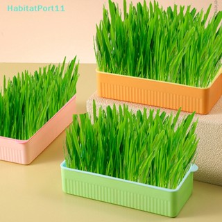 Habitatport กล่องหญ้า สีตัดกัน สําหรับแมว 1 ชิ้น