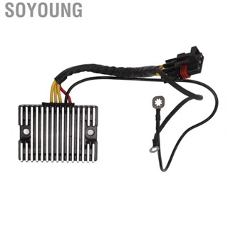 Soyoung Rectifier  Voltage Regulator Professional Stainless Steel 2410209