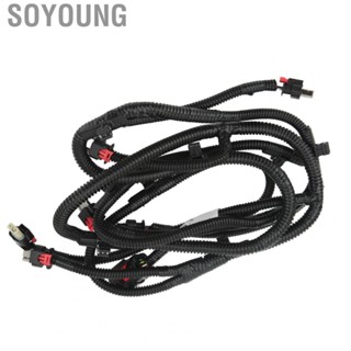 Soyoung 1489046 00 B Rear Bumper Harness  Aging for Car