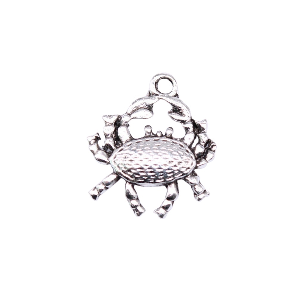 เครื่องรางกุ้งแห้งปูสําหรับทําเครื่องประดับจี้อุปกรณ์งานฝีมือ ทําเอง