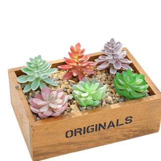 Succulents ดอกไม้ปลอม DIY สําหรับตกแต่งผนัง