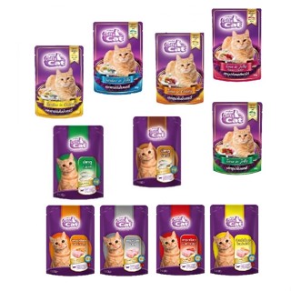 1 ซอง อาหารแมว catty cat แบบเปียก ซอง 80 g.