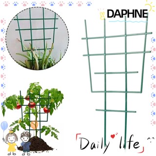 Daphne ใหม่ โครงไม้เลื้อย เถาวัลย์ สีเขียว สําหรับปลูกต้นไม้ ดอกไม้