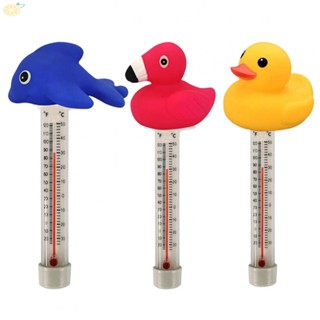 【VARSTR】Monitor Water Temperature in Fish Ponds with this PVC Floating Thermometer