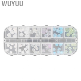 Wuyuu 1 Box Flower Nail Charms Set Portable Accessory Decorative Craft Charm for Travel Performance