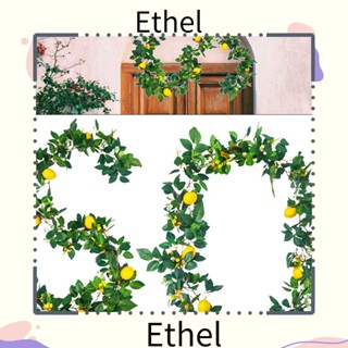 Ethel1 ใบยูคาลิปตัสปลอม 185 ซม. สําหรับตกแต่งประตู วันขอบคุณพระเจ้า งานแต่งงาน ฮาโลวีน