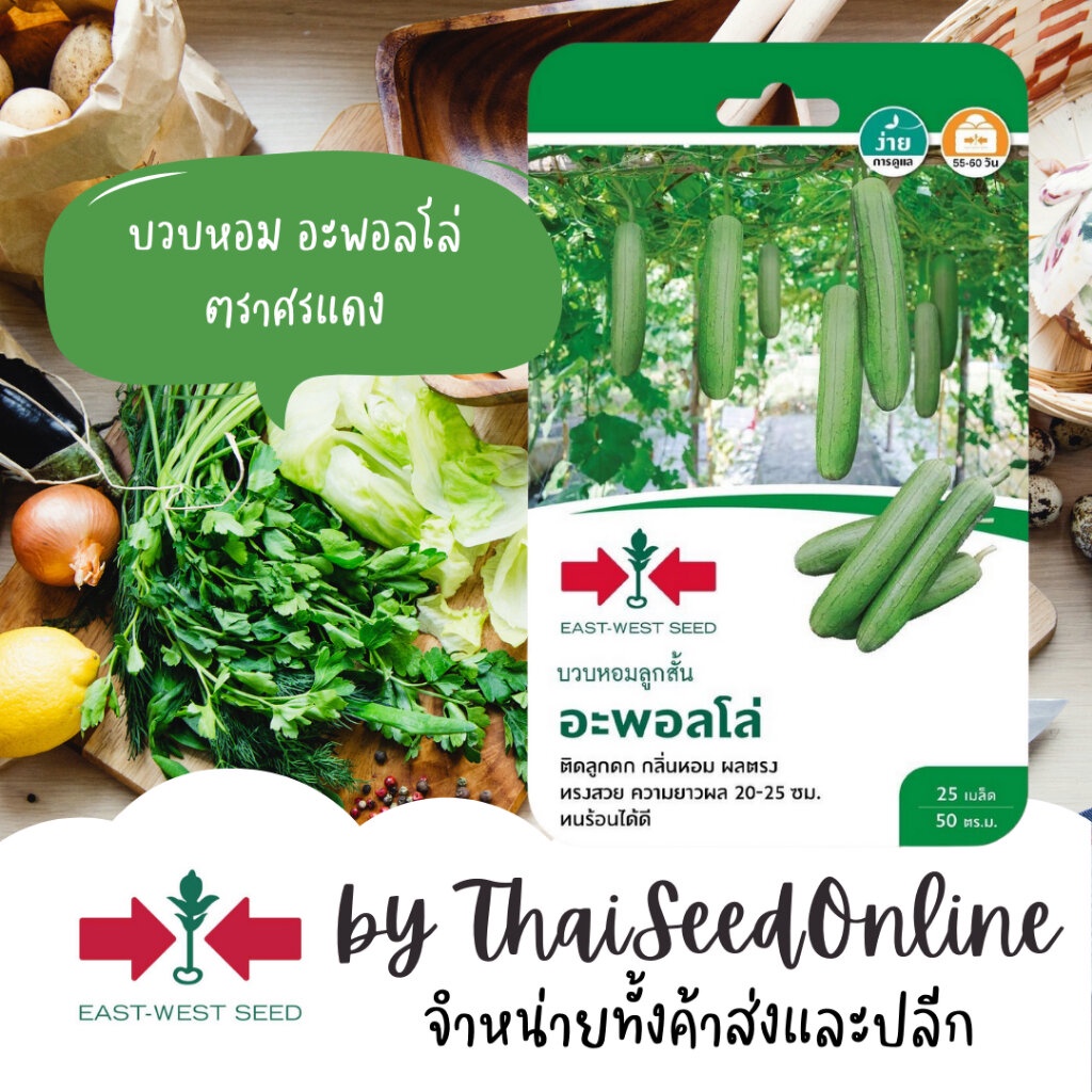Sorndang(ศรแดง) GGEW 3/70 เมล็ดพันธุ์ บวบหอมลูกสั้น อะพอลโล 25เมล็ด ตราศรแดง Sponge Gourd