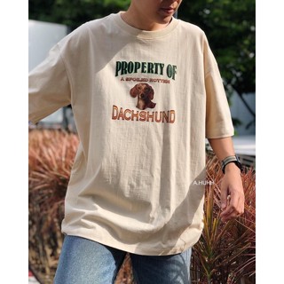 【Hot】เสื้อยืด Freesize ลายดัชชุน