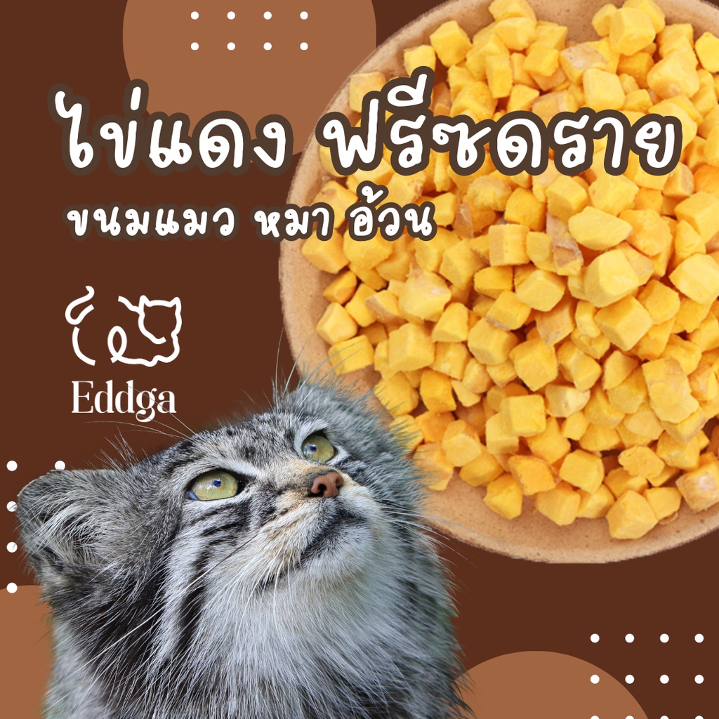 ไข่แดงฟรีซดราย ขนมแมวฟรีซดราย | ขนมแมว ขนมสุนัข ขนมสัตว์ฟันแทะ กระรอก หนู | Freeze Dried Pet Treat Egg Yolk
