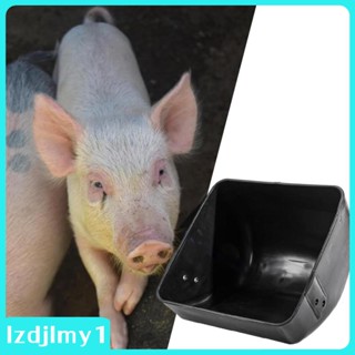 [Lzdjlmy1] ถาดใส่อาหารสัตว์เลี้ยง หมู สําหรับให้อาหารนก