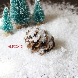 ALISOND1 ผงหิมะแห้ง พลาสติก 50 กรัม ต่อถุง DIY สําหรับตกแต่งคริสต์มาส