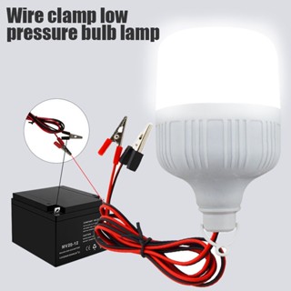 Clamp Lamp 12v Emergency Light 5w 9w 15w For Fishing Camping Low-voltage Bulb Light Night Light Portable