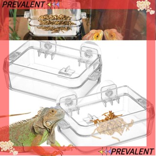Preva ถ้วยให้อาหารสัตว์เลื้อยคลาน พลาสติกใส ป้องกันการหลบหนี สําหรับสัตว์เลื้อยคลาน