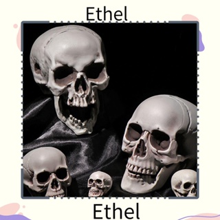 Ethel1 พร็อพหัวกะโหลก คุณภาพสูง สําหรับตกแต่งปาร์ตี้ฮาโลวีน 1 ชิ้น