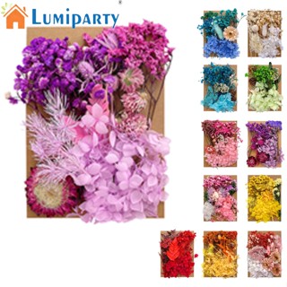 Lumiparty จี้ดอกไม้แห้ง อีพ็อกซี่เรซิ่น สําหรับทําเครื่องประดับ DIY 1 ถุง