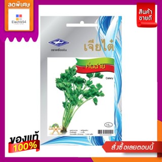 เมล็ดพันธุ์ผัก คื่นฉ่าย CHINESE CELERY