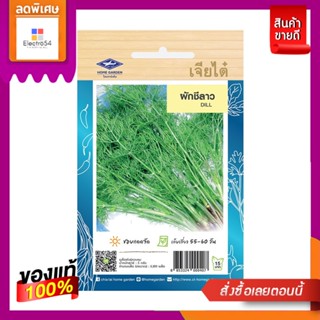 เมล็ดพันธุ์ผัก ผักชีลาว ผักชีDILL