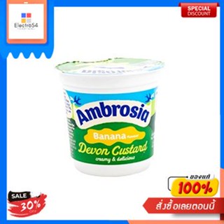 Banana Custard Pot Ambrosia 150 G