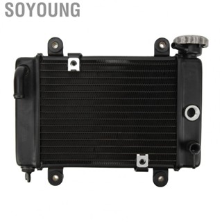 Soyoung Radiator Cooler Cooling  Cooling Radiator High Precision Aluminium Alloy  for Kart