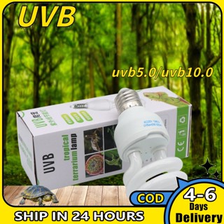 มีสินค้า โคมไฟแคลเซียม Uvb 5.0 10.0 ประหยัดพลังงาน สําหรับสัตว์เลื้อยคลาน เต่า จิ้งจก