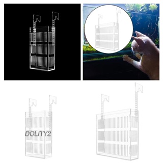 [Dolity2] กล่องเพาะพันธุ์ปลาหางนกยูง อะคริลิคใส ขนาดเล็ก สําหรับเด็ก