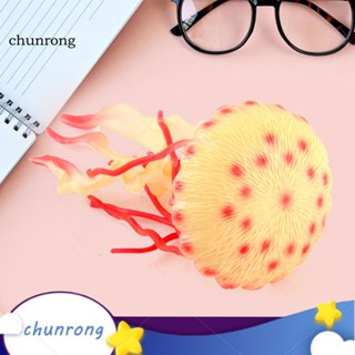 Chunrong โมเดลแมงกะพรุนประดิษฐ์ ดีไซน์เรียบง่าย สําหรับเด็ก