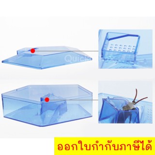 Cockroach trapper กล่องดักจับแมลงสาบ 4 ทิศ พร้อมเหยื่อล่อ