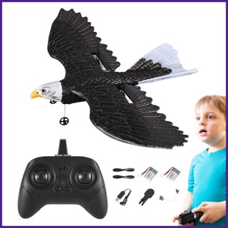 เครื่องบินบังคับวิทยุ 2.4GHZ 2CH Eagle-Shaped RC EPP 2.4G รีโมตควบคุม