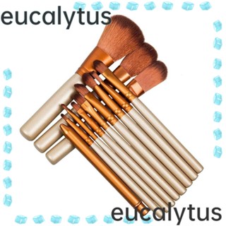 Eucalytus1 ชุดแปรงแต่งหน้า อายแชโดว์ บลัชออน คอนทัวร์ อลูมิเนียม ขนปุยนุ่ม พร้อมกล่อง สําหรับผู้หญิง 12 ชิ้น