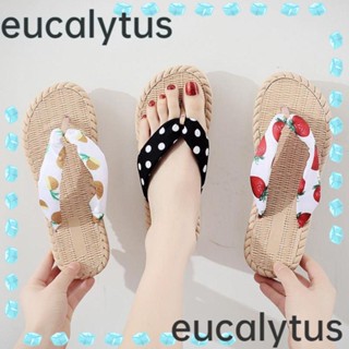 Eucalytus1 รองเท้าแตะ แจ๊กเก็ต แฟชั่นกลางแจ้ง สําหรับผู้หญิง