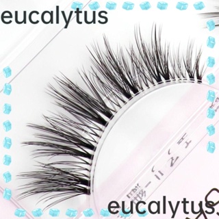 Eucalytus1 ขนตาปลอม เพิ่มวอลลุ่ม สวยงาม สําหรับผู้หญิง