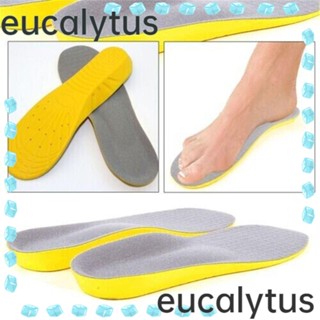 Eucalytus1 แผ่นรองเท้า ระบายอากาศ บรรเทาอาการปวดหลัง ส้นเท้า