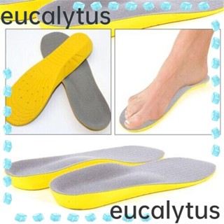 Eucalytus1 แผ่นรองเท้า ระบายอากาศ บรรเทาอาการปวดหลัง ส้นเท้า