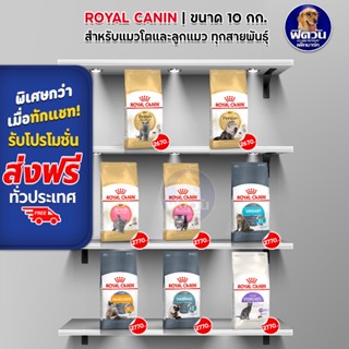 ROYAL CANIN อาหารลูกแมว แมวโต1ปีขึ้นไป สำหรับแมวทุกสายพันธุ์ 10 กก.